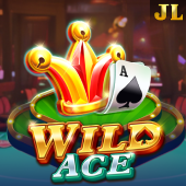 Wild Ace - VIP Casino Game